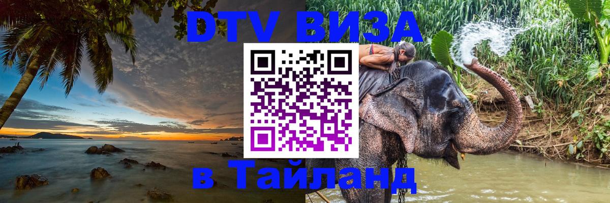 Оформление DTV визы под ключ: стоимость и тарифы, только загранпаспорт - 